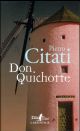 DON QUICHOTTE 